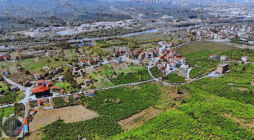 Arsa-Bağ & Bahçe
