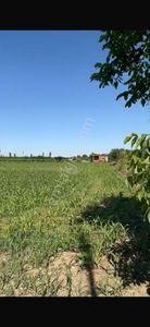 Arsa-Tarla