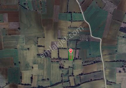 Arsa-Tarla