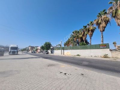 Konut-Müstakil Ev