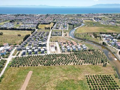 Arsa-Zeytinlik
