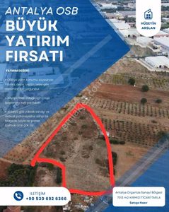 Arsa-Tarla