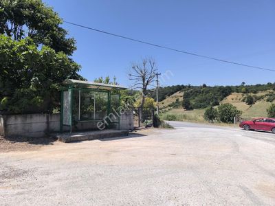 Arsa-Bağ & Bahçe
