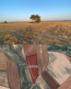 Arsa-Tarla