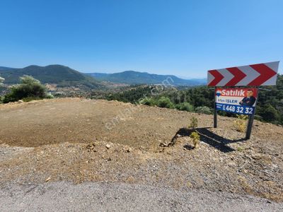 Arsa-Tarla