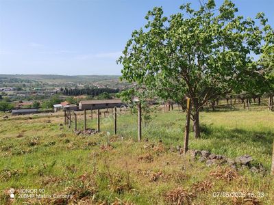 Arsa-Konut İmarlı