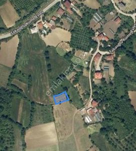 Arsa-Tarla