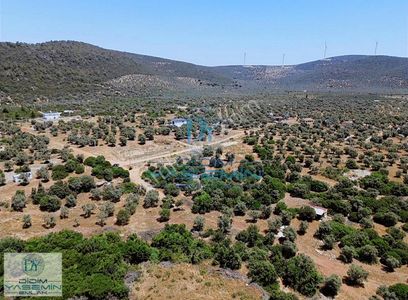 Arsa-Villa İmarlı