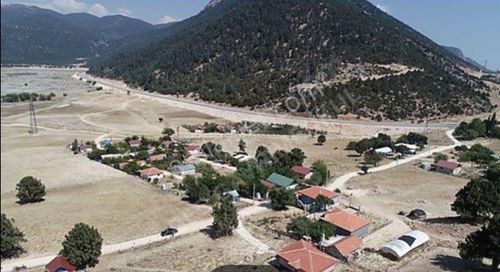 Arsa-Tarla