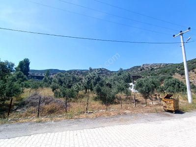 Arsa-Konut İmarlı