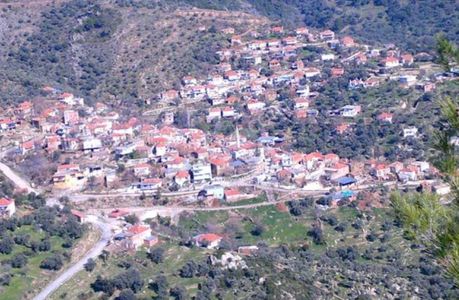 Arsa-Zeytinlik