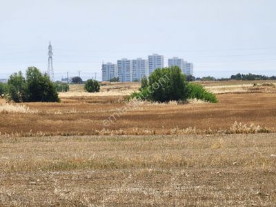 Arsa-Tarla