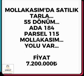Arsa-Tarla