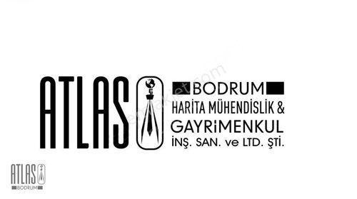 Arsa-Zeytinlik