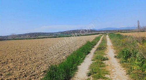 Arsa-Tarla