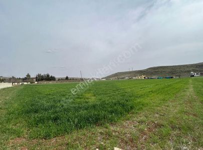 Arsa-Tarla