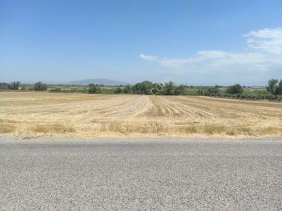 Arsa-Tarla