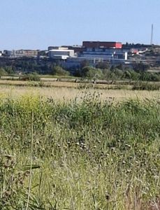 Arsa-Tarla