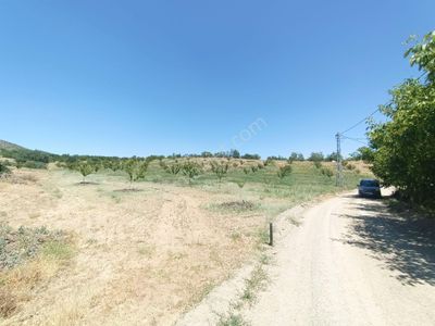 Arsa-Tarla