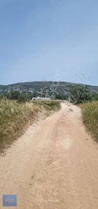 Arsa-Tarla