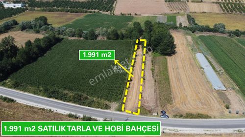 Arsa-Tarla