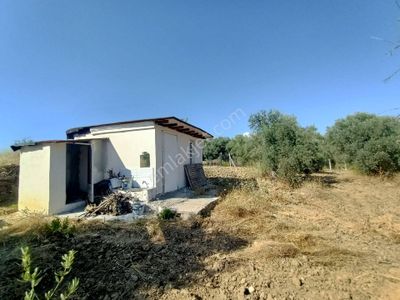 Arsa-Tarla