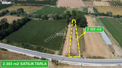Arsa-Tarla
