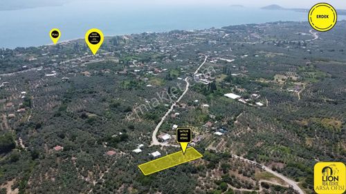 Arsa-Zeytinlik