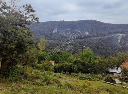 Arsa-Konut İmarlı