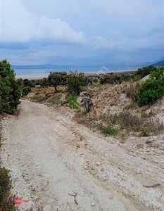 Arsa-Tarla