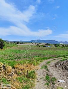 Arsa-Tarla