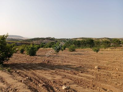 Arsa-Tarla