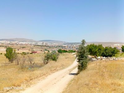 Arsa-Tarla