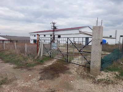 İşyeri-Dükkan & Mağaza