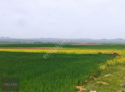 Arsa-Tarla