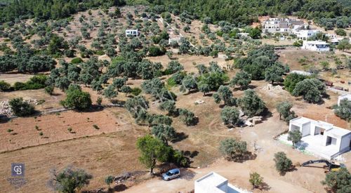 Arsa-Konut İmarlı