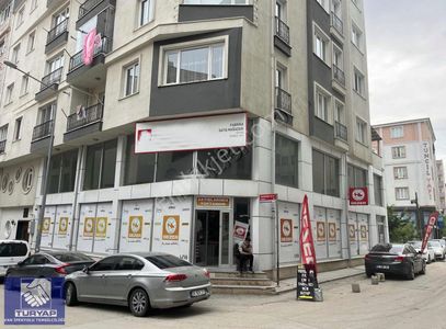 İşyeri-Dükkan & Mağaza
