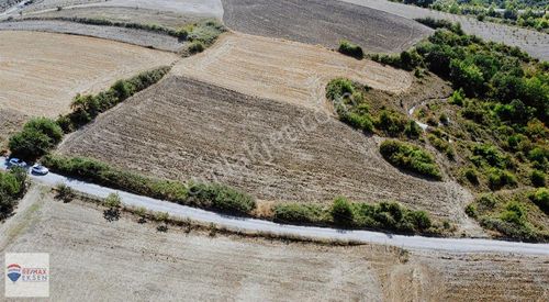 Arsa-Tarla