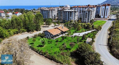 Arsa-Konut İmarlı