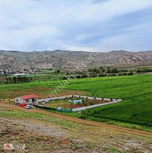 Arsa-Tarla
