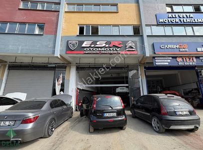 İşyeri-Dükkan & Mağaza