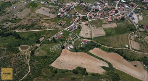 Arsa-Tarla
