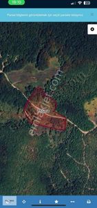 Arsa-Tarla