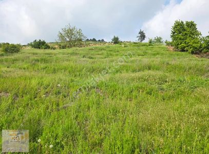 Arsa-Tarla