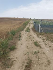 Arsa-Tarla