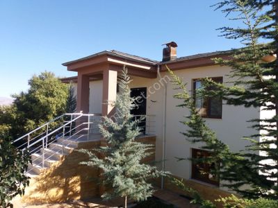 Arsa-Bağ & Bahçe