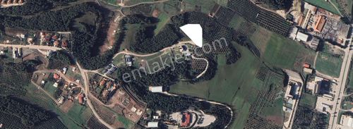 Arsa-Villa İmarlı