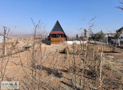 Arsa-Bağ & Bahçe