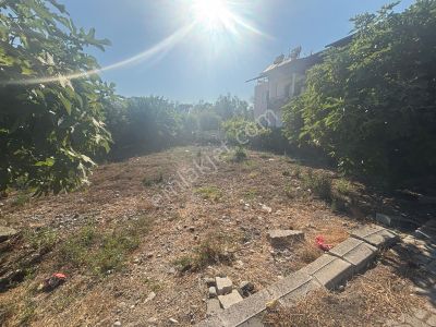 Arsa-Konut İmarlı