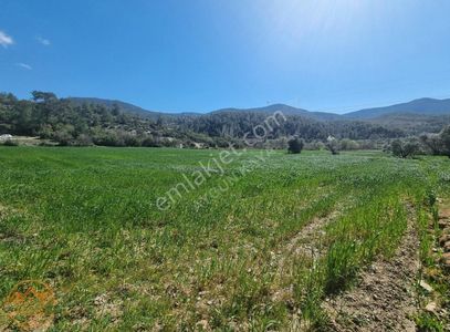 Arsa-Tarla